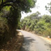 Kas Pathar Sceneries of Roads9